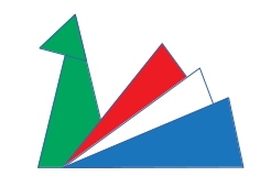 abstracted peacock representation for povas limited logo